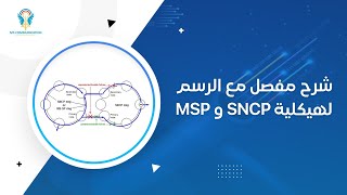 Difference between SNCP and MSP Protection in Optical Networks [upl. by Rabkin490]