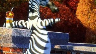 DreamWorks MADAGASCAR 2  quotCrash Landingsquot  Deutsch [upl. by Aynotel694]