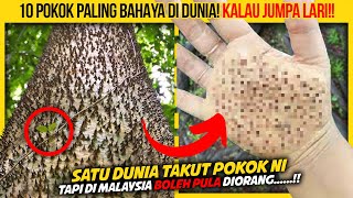 10 POKOK PALING BAHAYA DI DUNIA KORANG KENA LARI KALAU JUMPA [upl. by Nymassej]