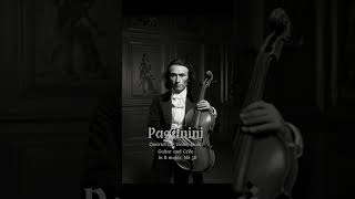 Nicolò Paganini  Quartet for Violin Viola Guitar and Cello in B major MS 38 [upl. by Tala]