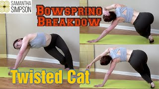 Bowspring Pose BreakdownTwisted Cat [upl. by Octavia]