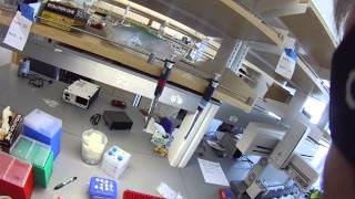 Setting up a PCR reaction [upl. by Tiduj]