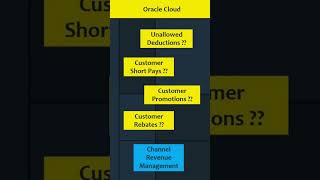 Tired of Oracle ERP Customers Taking Unallowed Deductions amp Short pays [upl. by Biegel385]