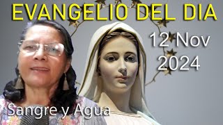 Evangelio Del Dia Hoy  Martes 12 Noviembre 2024 Sangre y Agua [upl. by Yrffej735]