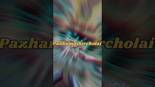 Pazhamuthircholai Murugan kovil Hashtag Sk vlogs [upl. by Coulson]