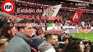 NN ESTÁDIO DA LUZ FENOMENAL A música que trouxe o GOLO Benfica x Estoril [upl. by Atrim570]