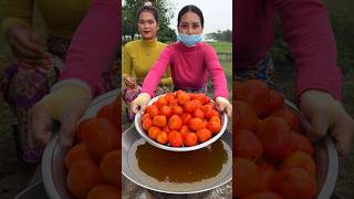 How to cook tomato sauce recipe shortvideo shorts cooking food recipe [upl. by Rori]