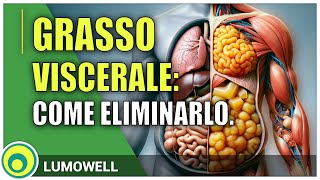 Grasso Viscerale Come Eliminarlo [upl. by Ahsiela]