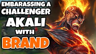 You wont think this Akali is Challenger after seeing how hard I dominated her with Brand Mid [upl. by Pacien308]