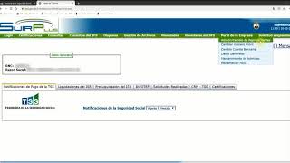 Acceso a la TSS y Designacion de Representante [upl. by Akcinahs674]