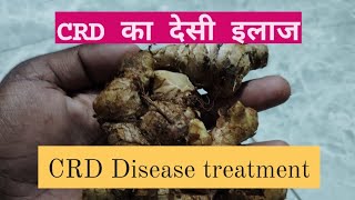 CRD का देसी इलाज  CRD बीमारी का इलाज  CRD disease treatment  CRD disease treatment hindi [upl. by Berardo]