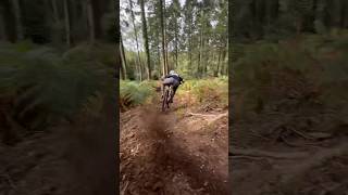 Loam season is back Ferg giving the 161 a peppering 🌶️ mtb autumn dh downhill [upl. by Ahsenit187]