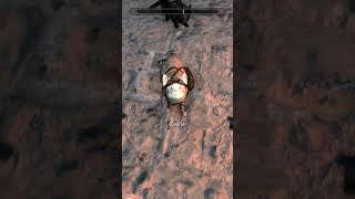 Skyrim cat Courier Skyrim shorts [upl. by Selemas282]