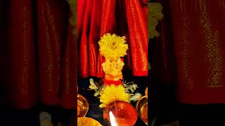 Tulasi vivaaha🙏🪔🪴nammane Tulasi habbapls subscribe [upl. by Ainig]