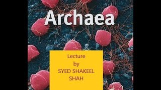 Archaea II Microbiology Lecture II Archaeal Taxonomy [upl. by Pascasia]