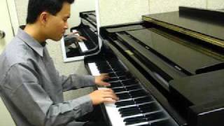 Theme from Schindlers List  Piano [upl. by Ahsitul]