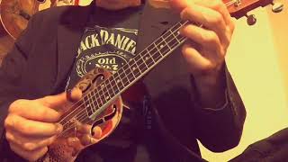 Resonator ukulele blues amp rags  Vince Lee [upl. by Richer]