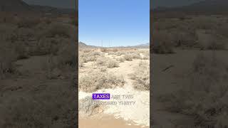 020 Acres for Sale in Pahrump Nevada for 7950 [upl. by Yenaffit908]