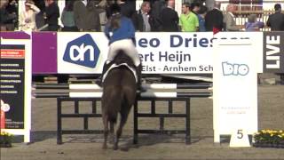 Horses Talentendag finalist Lieke Walvoort [upl. by Ysied]