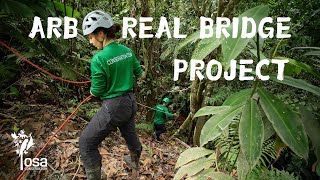 Building Arboreal Bridges to Protect Wildlife in Costa Rica [upl. by Dleifxam874]