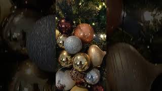 Christmas vibes 2024 This years family Christmas tree christmas greenculturebuzz [upl. by Ispep]