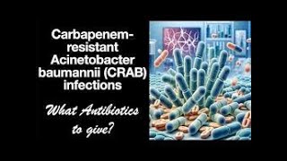 Antibiotic Selection  Part V Treatment of Carbapenemresistant Acinetobacter baumannii [upl. by Arbed]