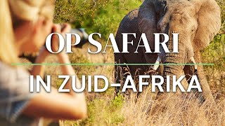 Op Safari in Zuid Afrika [upl. by Yesoj970]