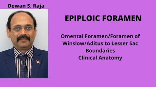 EPIPLOIC FORAMEN [upl. by Elbart]