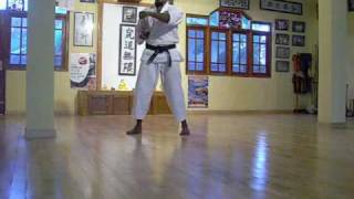 Sochin  Okinawa Shorin Ryu Karatedo KYUDOKAN [upl. by Arhna]