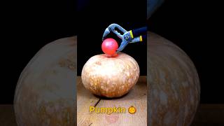 1000°C RHCB vs Pumpkin 🎃😱satisfying experiment science asmr [upl. by Moriarty]