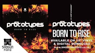 The Prototypes  Born To Rise [upl. by Ttennaj]