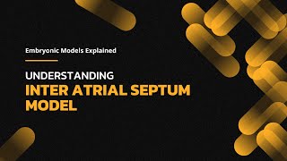 Understanding Interatrial Septum Development Exploring the Path to a Strong Heart [upl. by Domella]