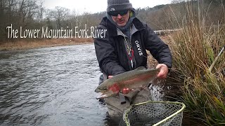 Fly Fishing the Lower Mountain Fork River in Oklahoma for Huge Rainbow Trout [upl. by Enirehtak]