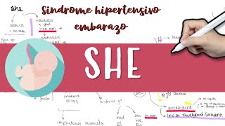 HIPERTENSION EN EL EMBARAZO SHE ECLAMPSIA preeclampsia [upl. by Rohpotsirhc279]