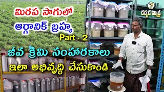 జీవ క్రిమి సంహారకాలు తయారీ  Biopesticides Preparation  Organic Chilli Part 2  Karshaka Mitra [upl. by Milka854]