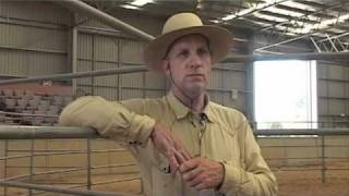 Buck Brannaman Horse Rush TV Australia Exclusive Interview [upl. by Ravilob]