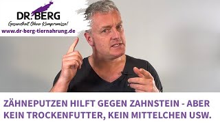 Zähneputzen hilft gegen Zahnstein  aber kein Trockenfutter kein Mittelchen  Tierarzt Dr Berg [upl. by Sidoon]