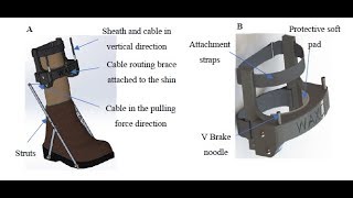 Design and Development of a Lightweight Ankle Exoskeleton for Human Walking Augmentation [upl. by Adyht]