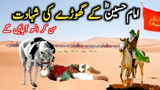 Imam Hussain ke Ghode ki Shahadat Karbala ka waqia 10 Muharram AR voice [upl. by Enier]