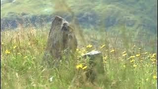 Graves Of Displaced Crofters With Music On History Visit To The Highlands Of Scotland [upl. by Adianez]