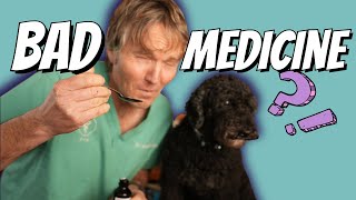 Stop Using This OTC Medicine for Dog Coughing A new Safe and Effective Natural Option [upl. by Ymmat]