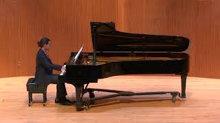 Beethoven Symphony No 9 for solo piano [upl. by Nereil555]