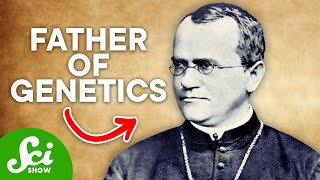 The Man Who Discovered Dominant amp Recessive Genes Meet Gregor Mendel [upl. by Angele]