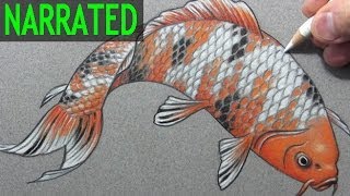 How to Draw a Fish quotKoiquot Narrated StepbyStep [upl. by Minsk]