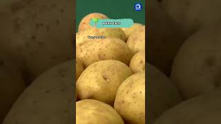 potato facts shorts facts potato factshorts [upl. by Ennaus457]