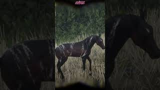 001 Have This  Rarest Horse RDR2 shorts rdr2 rockstargames [upl. by Cirek447]