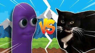 Beanos VS Maxwell The Cat [upl. by Mada]