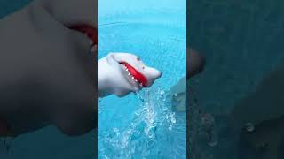 Shark Puppet Takes On The FREEZING POOL CHALLENGE subscribe shorts sharkpuppet [upl. by Humfried]