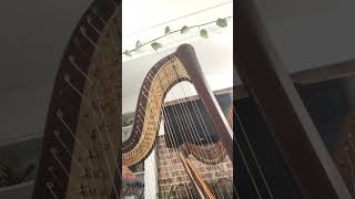 Waltz of the Flowers Harp Cadenza decent rendition [upl. by Okomom]