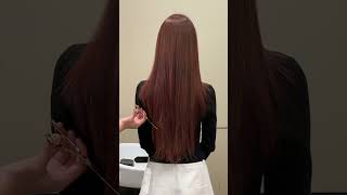 Todays hairstyle recommendations Autumn and winter hair colors Photo lighting shorts [upl. by Eralc]